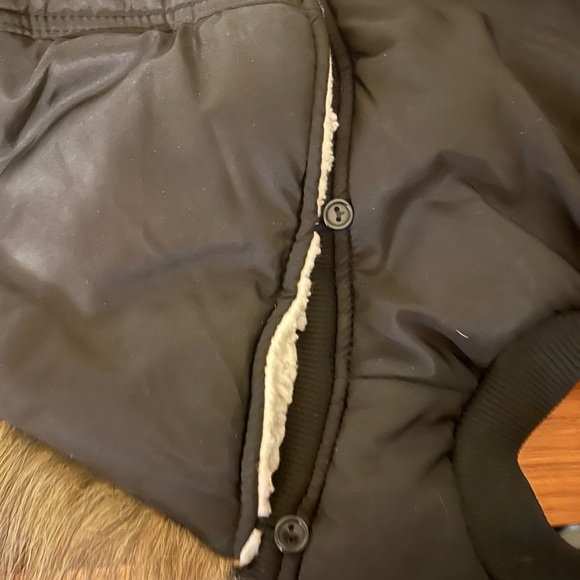 Luv gear Buy Lulu's winter coat (look at that face) - Picture 4 of 7